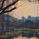 동백고교사거리 이미지