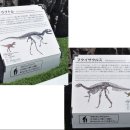 [역의 재발견-18회) 생동감 넘치는 공룡들의 쥬라기 공원으로 리뉴얼된 JR서일본 호쿠리쿠 본선 후쿠이(福井)역 이미지