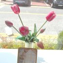 천안성심요양병원 이미지