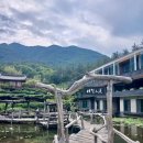 연못이 있는 풍경 | 경남 산청 가볼만한곳 🌿 연못이 아름다운 힐링 사찰, 수선사