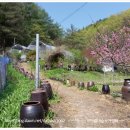 동부농장 이미지