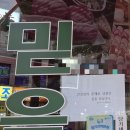 격주간일기 11회차 | 6월 1일부터 15일까지