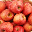 명은농장 이미지