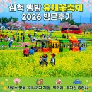 실용의상만들기 | 삼척 맹방 유채꽃축제2026 , 4월11일 방문 실시간 후기: 가로수 벚꽃 미니기차 체험 먹거리 주차장 가볼...