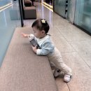 제일이비인후과의원 | 두달째 콧물 달고사는 아기 대전 코뿔소 이비인후과 방문후기 :: 아기비염병원추천 대전아기이비인후과...