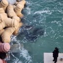 여주-0113 | Jan. 13~14 • 시옷의 모임 강릉 가다!