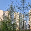 경진공인중개사사무소 이미지