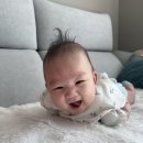 도빈