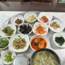 통계청 맞은 편 횡단보도 | 경남도청 또간집 영산 추어탕