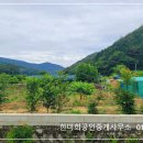 (금액절충)경남고성부동산 경남고성부동산토지농지매매 - 영현면 개울가 농막과 하우스가 있는 토지 농지매매 1412제곱미터(427.9) 이미지