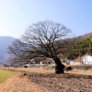 남산리