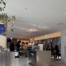 광화문 스타필드 에비뉴 카페 피어커피 그랑서울점!☕️