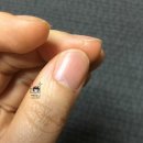 시몬사 | 하와이스카이 님의 파인애플 도일리