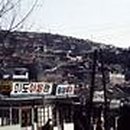 묵호시장 이미지