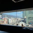 고베 산노미야 고베규 맛집 Steak house ZEN 젠 타베로그 예약 방문 후기 (내돈내산