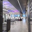 PT전문 레몬 이미지