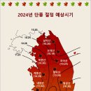 2024 산림청 단풍 예측 지도 이미지