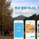 펫츠고트래블 이미지