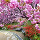 완산-24 이미지