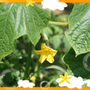 영재몬테소리유치원 이미지