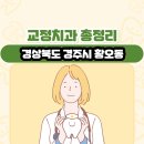 이근희치과의원 | 경상북도 경주시 황오동 교정치과 총정리