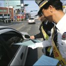 주정차009 Daum카페
