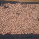 한삼농장 이미지