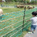 승준목장 이미지