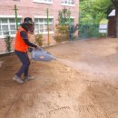 도림초등학교병설 이미지