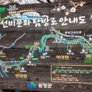 선비길 Daum카페
