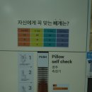 슬립앤슬립천안두정점