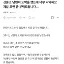 신혼 초 남편이 도박을 했는데 너무 막막해요. 이미지