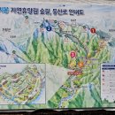 강씨봉자연휴양림 | 가평 강씨봉 자연휴양림 숙박 후기