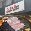 통칼삼겹살 | [동대문] 장안동 고기 맛집 '통칼칼집구이' 후기