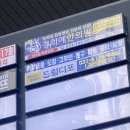 드림디포미사테스타 이미지