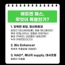 메타센 이미지