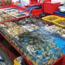 자갈치시장 이미지