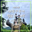 세부여행 세친구투어 헬로우 세부 시티투어 추천 솔직후기