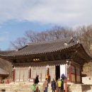 신광전설 서울신문
