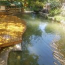 이든펫샵 이미지