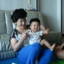 조*현 - 안양시 동안구 흥안대로133번길 | 조*현