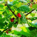 썬비취펜션 이미지