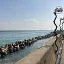 불로삼계탕 | [경북/울진] 울진 덕구온천 근처 맛집 백송삼계탕 울진점