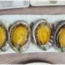 다시올민박 이미지