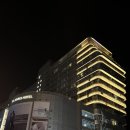 세븐일레븐 델루나호텔 강릉점 | 강릉 5성급 세인트존스 호텔 내돈내산 후기 #1 구조 주차 부대시설 맛집 이용시간 펫동반 흡연구역