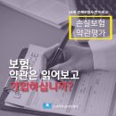 14개 손해보험사 실손보험 상품 약관 검토 평가 결과 이미지