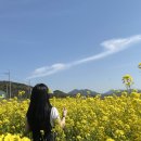 장터돼지국밥 이미지