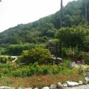 한채쭈꾸미 이미지