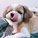 신광유치원 이미지