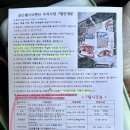 포르르 오션뷰&수영장펜션 | 태안 키즈 펜션 갯벌체험 해루질 가능한 골든웨이브펜션 오션뷰 수영장 후기